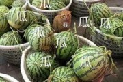 康欣娱乐吃瓜君,揭秘娱乐圈幕后真相